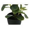 Monarch Specialties Artificial Plant, 14" Tall, Ficus, Indoor, Faux, Fake, Table, Greenery, Potted, Set Of 2, Decorative I 9585